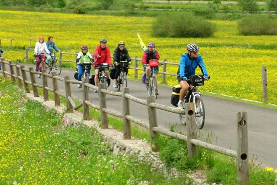 noleggio biciclette