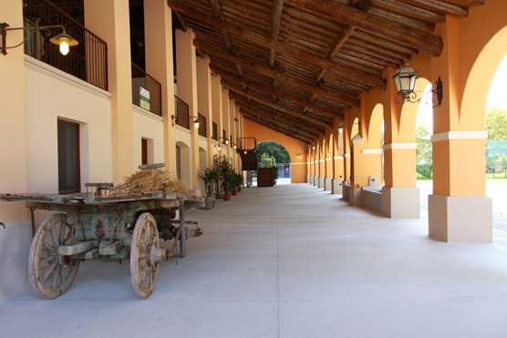 Agriturismo Fenilnovo